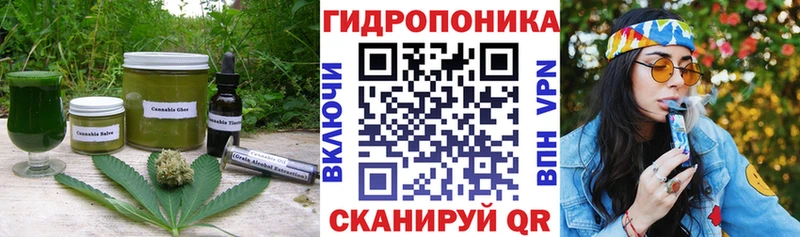 Canna-Cookies конопля  Купить закладки  Карабаново 