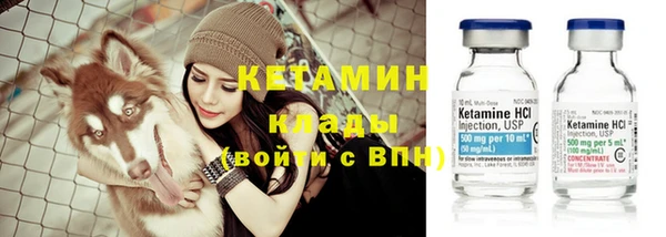 спиды Новозыбков