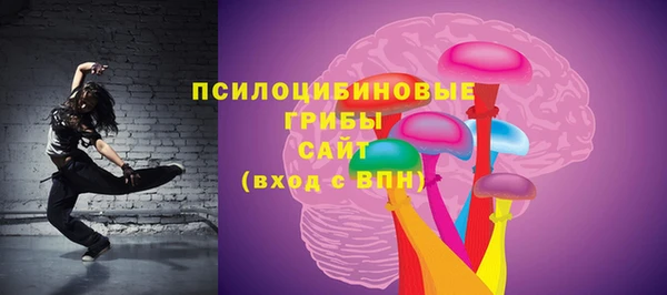 шишки Бежецк