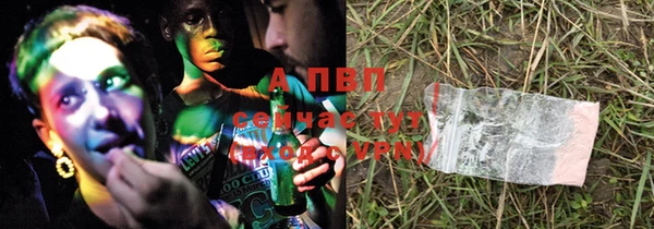PSILOCYBIN Нефтегорск