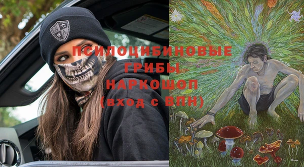 спиды Новозыбков